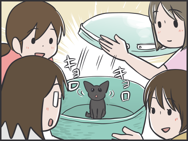 亡くなった甘えん坊の愛猫。そんな「寂しさと向き合う日々」に突如やってきたのは...／フニャコ（5）