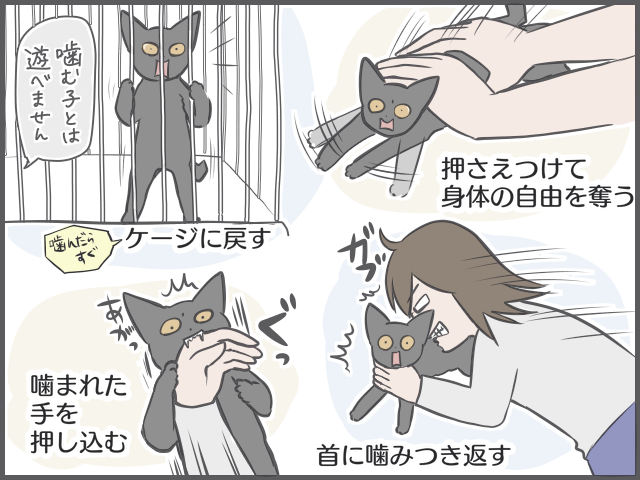 「噛み癖」が治らない子猫に...効いた！　娘が編み出した「文字にしづらい」しつけ方法／フニャコ（3）