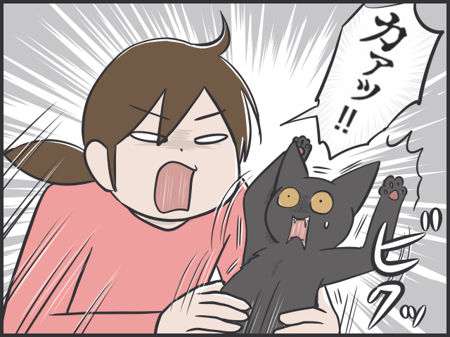「噛み癖」が治らない子猫に...効いた！　娘が編み出した「文字にしづらい」しつけ方法／フニャコ（5）