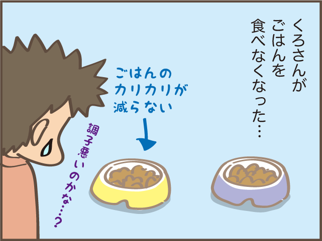 なぜ？うちの1匹の猫だけごはんを食べてくれない...その意外な理由とは／しまえもん（2）