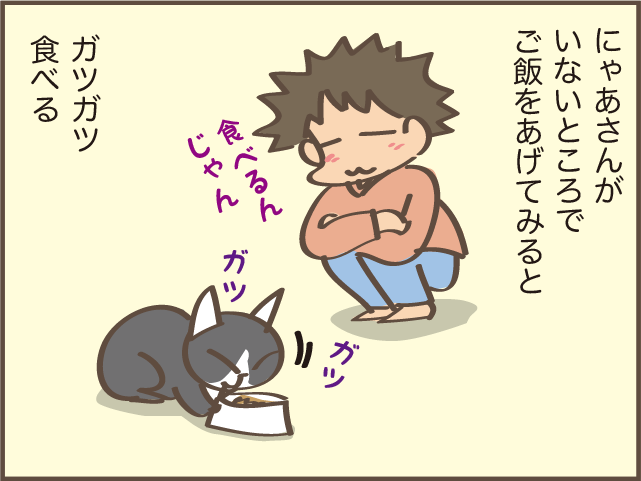 なぜ？うちの1匹の猫だけごはんを食べてくれない...その意外な理由とは／しまえもん（5）