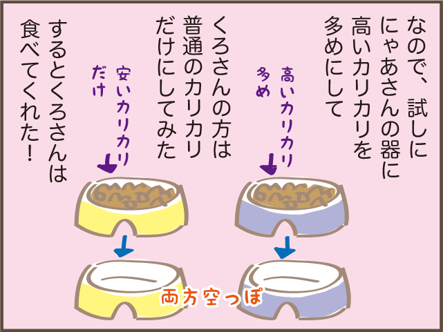 なぜ？うちの1匹の猫だけごはんを食べてくれない...その意外な理由とは／しまえもん（8）