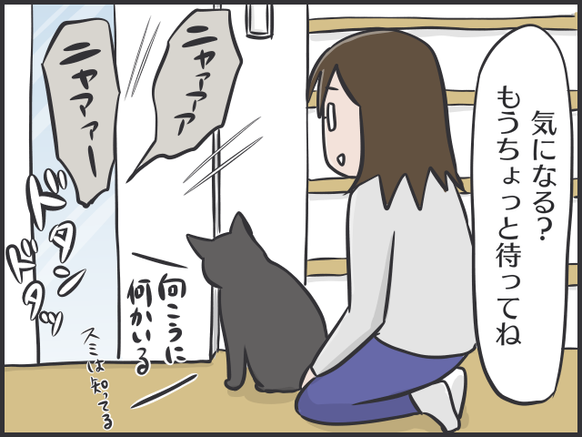 生後2カ月の「暴れん坊」猫が家にやってきて...8歳の「のんびり」先住猫にハゲが!?／フニャコ（2）
