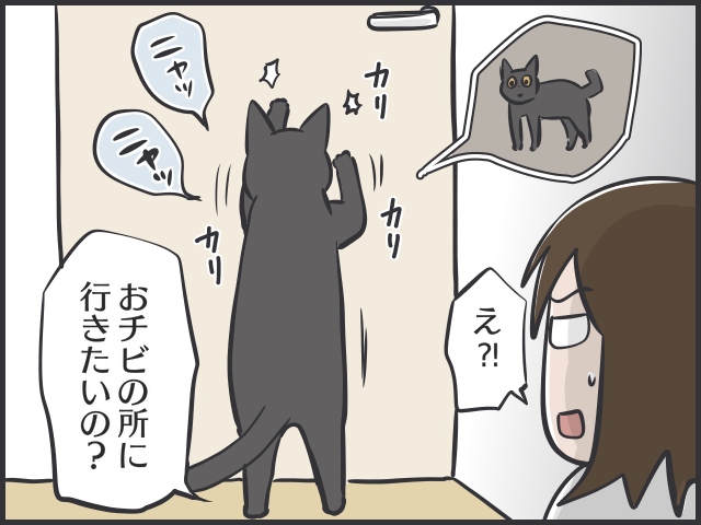 生後2カ月の「暴れん坊」猫が家にやってきて...8歳の「のんびり」先住猫にハゲが!?／フニャコ（5）