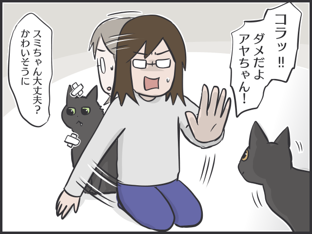 「先住猫ファースト」で新入りの子猫を怒ってばかりいたけど...２匹のバランスが難しい／フニャコ（3）