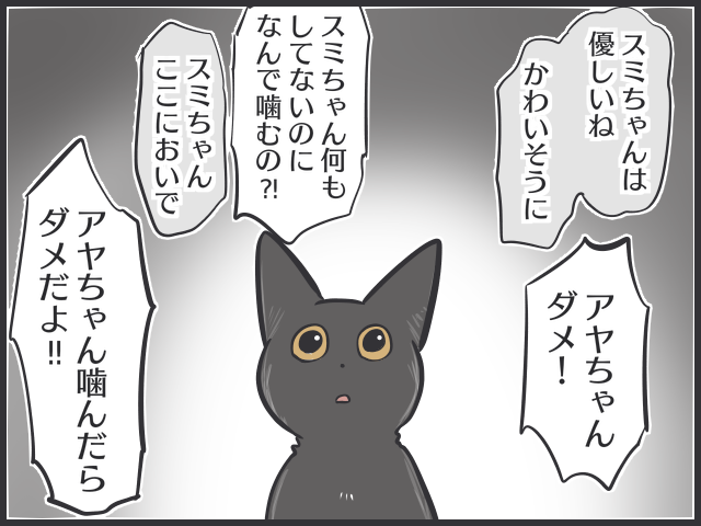 「先住猫ファースト」で新入りの子猫を怒ってばかりいたけど...２匹のバランスが難しい／フニャコ（4）
