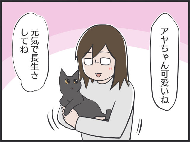 「先住猫ファースト」で新入りの子猫を怒ってばかりいたけど...２匹のバランスが難しい／フニャコ（6）