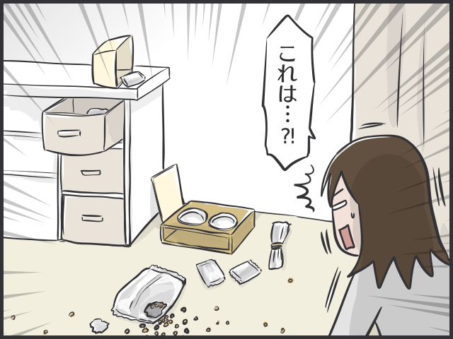 隣のキャットフードはおいしく見える!? シニア猫と子猫の「食事問題」／フニャコ（5）