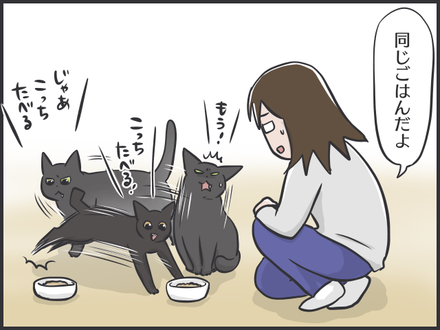 隣のキャットフードはおいしく見える!? シニア猫と子猫の「食事問題」／フニャコ（6）