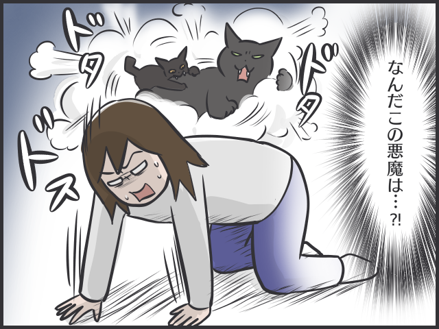 噛みまくる子猫が怖い...手放すことすら考えた私に、ふいに訪れた「気持ちの変化」／フニャコ（1）