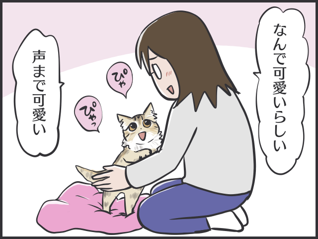 噛みまくる子猫が怖い...手放すことすら考えた私に、ふいに訪れた「気持ちの変化」／フニャコ（3）