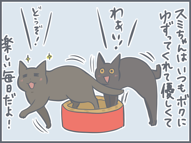 「おっとりシニア猫」と「ヤンチャ子猫」の共同生活。猫それぞれの目線で考えてみた♪／フニャコ（3）