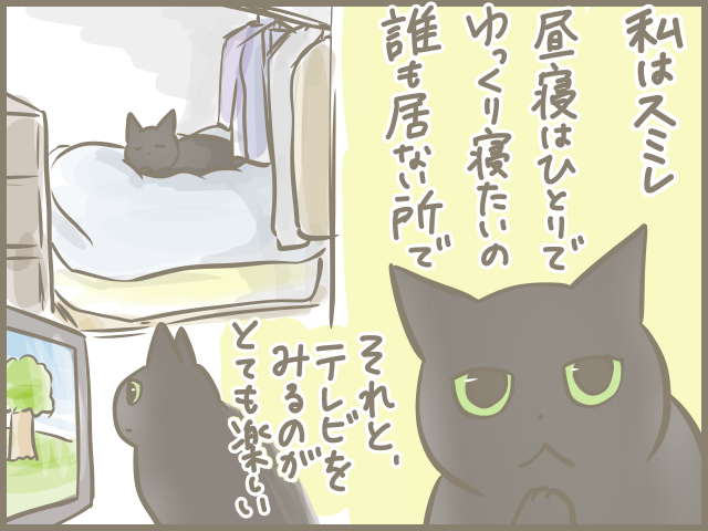 「おっとりシニア猫」と「ヤンチャ子猫」の共同生活。猫それぞれの目線で考えてみた♪／フニャコ（4）