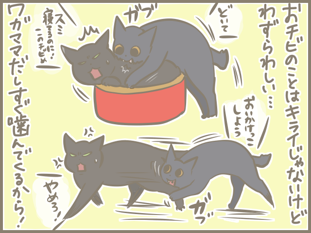 「おっとりシニア猫」と「ヤンチャ子猫」の共同生活。猫それぞれの目線で考えてみた♪／フニャコ（5）