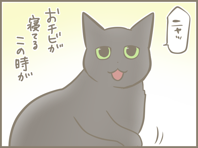 「おっとりシニア猫」と「ヤンチャ子猫」の共同生活。猫それぞれの目線で考えてみた♪／フニャコ（6）