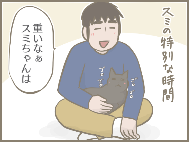 「おっとりシニア猫」と「ヤンチャ子猫」の共同生活。猫それぞれの目線で考えてみた♪／フニャコ（7）