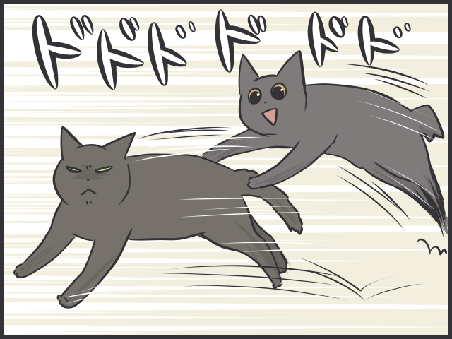 コロナ自粛で生活リズムが一変！猫だって...ひとりになりたい時がある／フニャコ（2）