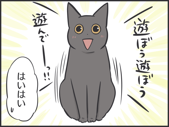 コロナ自粛で生活リズムが一変！猫だって...ひとりになりたい時がある／フニャコ（3）