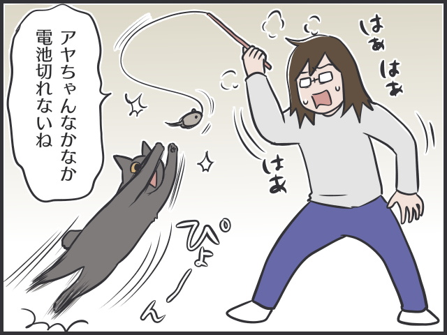 コロナ自粛で生活リズムが一変！猫だって...ひとりになりたい時がある／フニャコ（4）