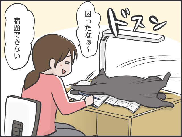 コロナ自粛で生活リズムが一変！猫だって...ひとりになりたい時がある／フニャコ（9）