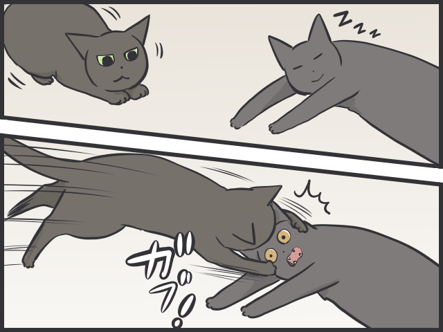 「愛猫の死」から１年。ふいに訪れる「思い出しスイッチ」と、少しずつ薄らぐ「悲しみ」／フニャコ（2）