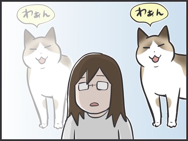 「愛猫の死」から１年。ふいに訪れる「思い出しスイッチ」と、少しずつ薄らぐ「悲しみ」／フニャコ（6）