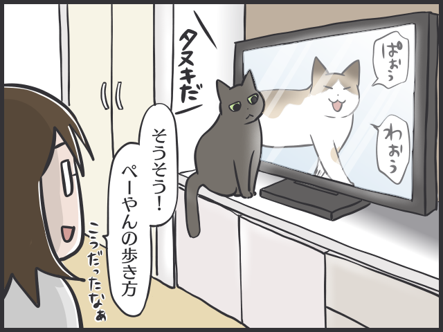 「愛猫の死」から１年。ふいに訪れる「思い出しスイッチ」と、少しずつ薄らぐ「悲しみ」／フニャコ（7）