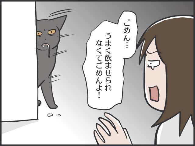ああ、超警戒されてるよ...。どう飲ませる⁉　我が家の猫の「ぜんそくの薬」奮戦記／フニャコ（1）