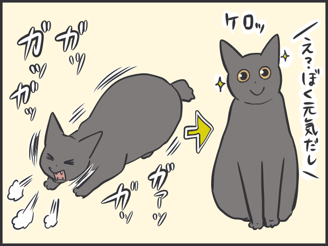 ああ、超警戒されてるよ...。どう飲ませる⁉　我が家の猫の「ぜんそくの薬」奮戦記／フニャコ（2）