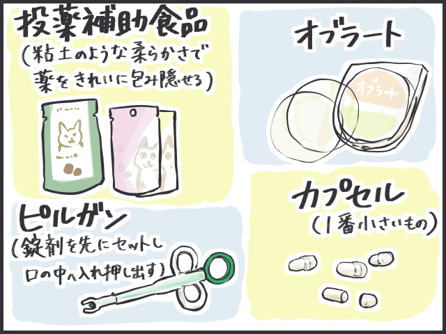 ああ、超警戒されてるよ...。どう飲ませる⁉　我が家の猫の「ぜんそくの薬」奮戦記／フニャコ（4）