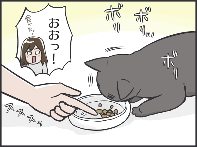 ああ、超警戒されてるよ...。どう飲ませる⁉　我が家の猫の「ぜんそくの薬」奮戦記／フニャコ（7）