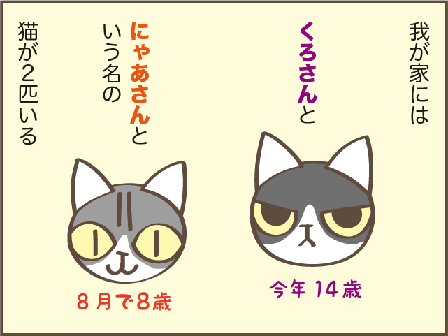 ギャー！また踏んじゃったじゃない!! 我が家の猫のコロコロの「落とし物」／しまえもん（2）