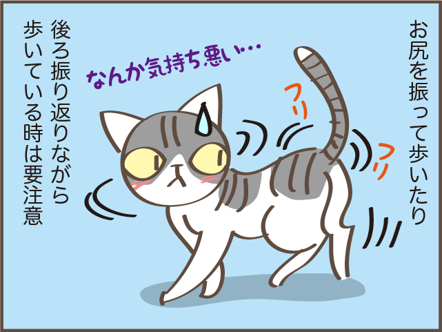 ギャー！また踏んじゃったじゃない!! 我が家の猫のコロコロの「落とし物」／しまえもん（4）