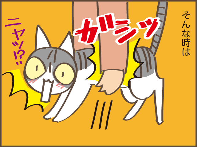 ギャー！また踏んじゃったじゃない!! 我が家の猫のコロコロの「落とし物」／しまえもん（5）