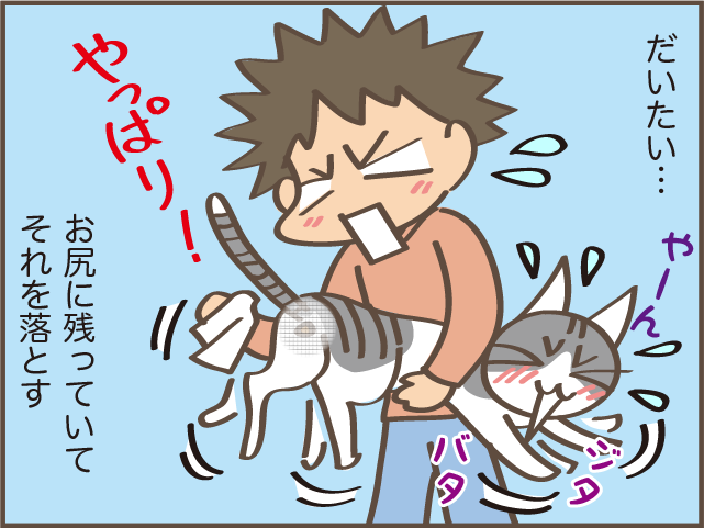 ギャー！また踏んじゃったじゃない!! 我が家の猫のコロコロの「落とし物」／しまえもん（6）