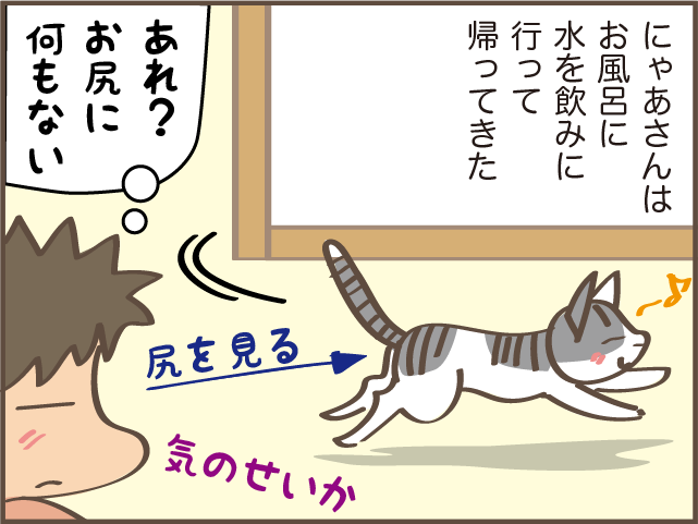 ギャー！また踏んじゃったじゃない!! 我が家の猫のコロコロの「落とし物」／しまえもん（8）