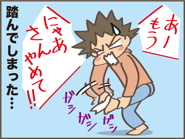 ギャー！また踏んじゃったじゃない!! 我が家の猫のコロコロの「落とし物」／しまえもん（10）