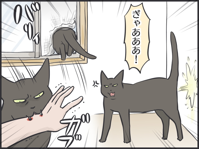 母と何度も話し合い、安楽死すら考えた...実家の「21歳の老猫」と過ごした最後の夏／フニャコ（2）