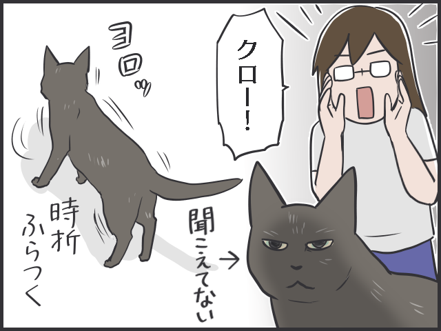 母と何度も話し合い、安楽死すら考えた...実家の「21歳の老猫」と過ごした最後の夏／フニャコ（3）