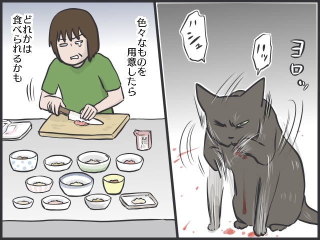 母と何度も話し合い、安楽死すら考えた...実家の「21歳の老猫」と過ごした最後の夏／フニャコ（4）