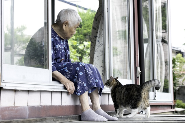 「もしも」の場合、飼い猫は...？ 義父の体調不良で考えた「高齢者とペット」問題／キッチン夫婦（2）