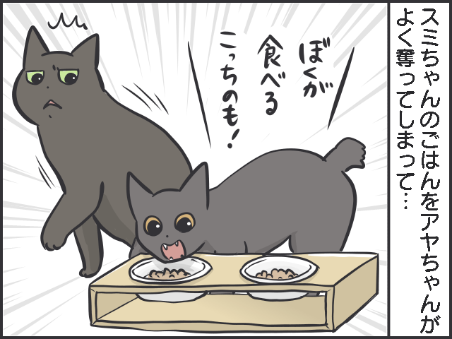 シニア猫の分までフードを食べちゃう若猫。食事の部屋を分けてみたら...⁉／フニャコ（2）