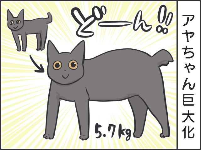 シニア猫の分までフードを食べちゃう若猫。食事の部屋を分けてみたら...⁉／フニャコ（3）