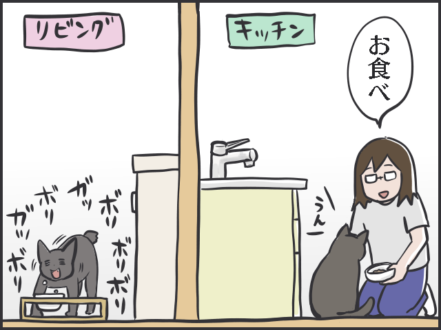 シニア猫の分までフードを食べちゃう若猫。食事の部屋を分けてみたら...⁉／フニャコ（4）