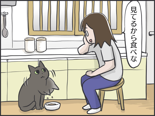 シニア猫の分までフードを食べちゃう若猫。食事の部屋を分けてみたら...⁉／フニャコ（5）