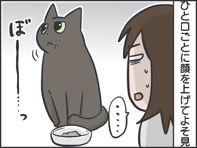 シニア猫の分までフードを食べちゃう若猫。食事の部屋を分けてみたら...⁉／フニャコ（6）
