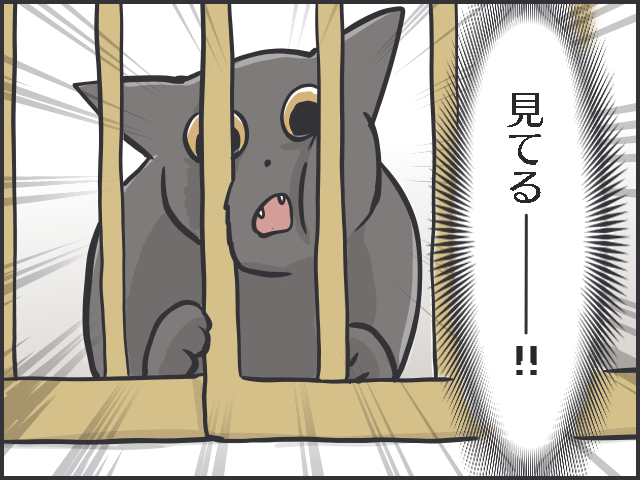 シニア猫の分までフードを食べちゃう若猫。食事の部屋を分けてみたら...⁉／フニャコ（10）