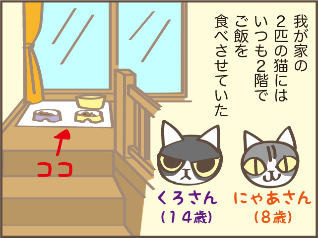 もっと早く気づければ...。我が家の高齢の猫だけ「ご飯が減らなくなった」原因は⁉／しまえもん（2）