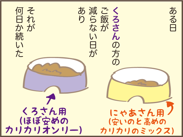もっと早く気づければ...。我が家の高齢の猫だけ「ご飯が減らなくなった」原因は⁉／しまえもん（3）