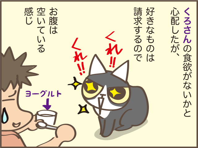もっと早く気づければ...。我が家の高齢の猫だけ「ご飯が減らなくなった」原因は⁉／しまえもん（4）